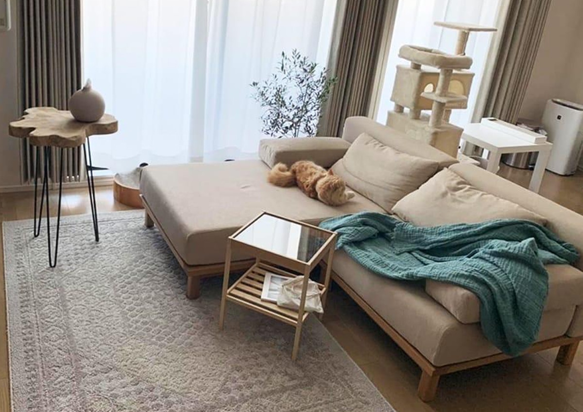 お部屋のご紹介 広々座れるのに圧迫感が少ないSIEVE レクトユニットソファ